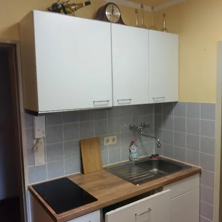 Kati 公寓 巴特亨宁根